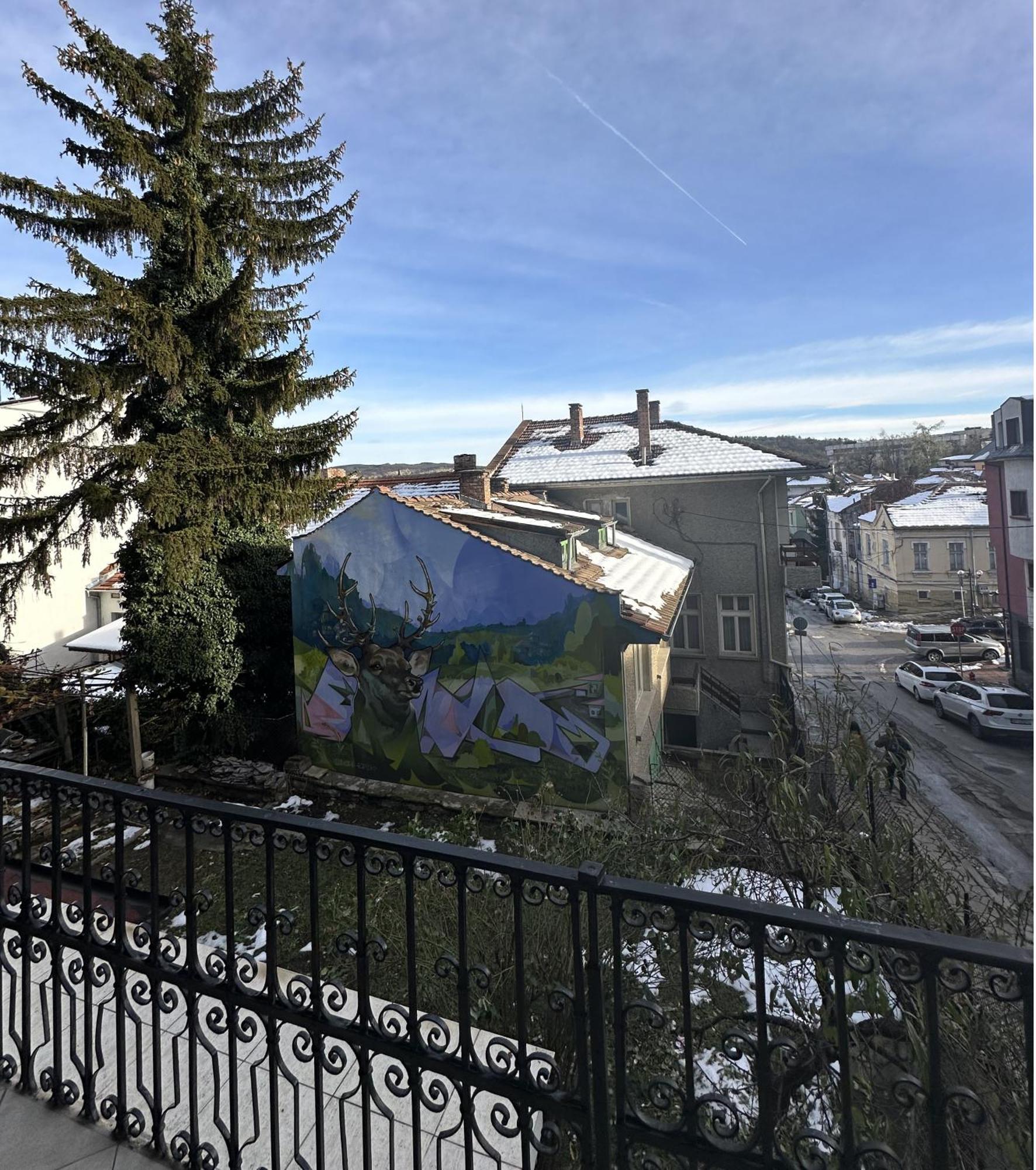 Guesthouse Petra Veliko Tărnovo Esterno foto