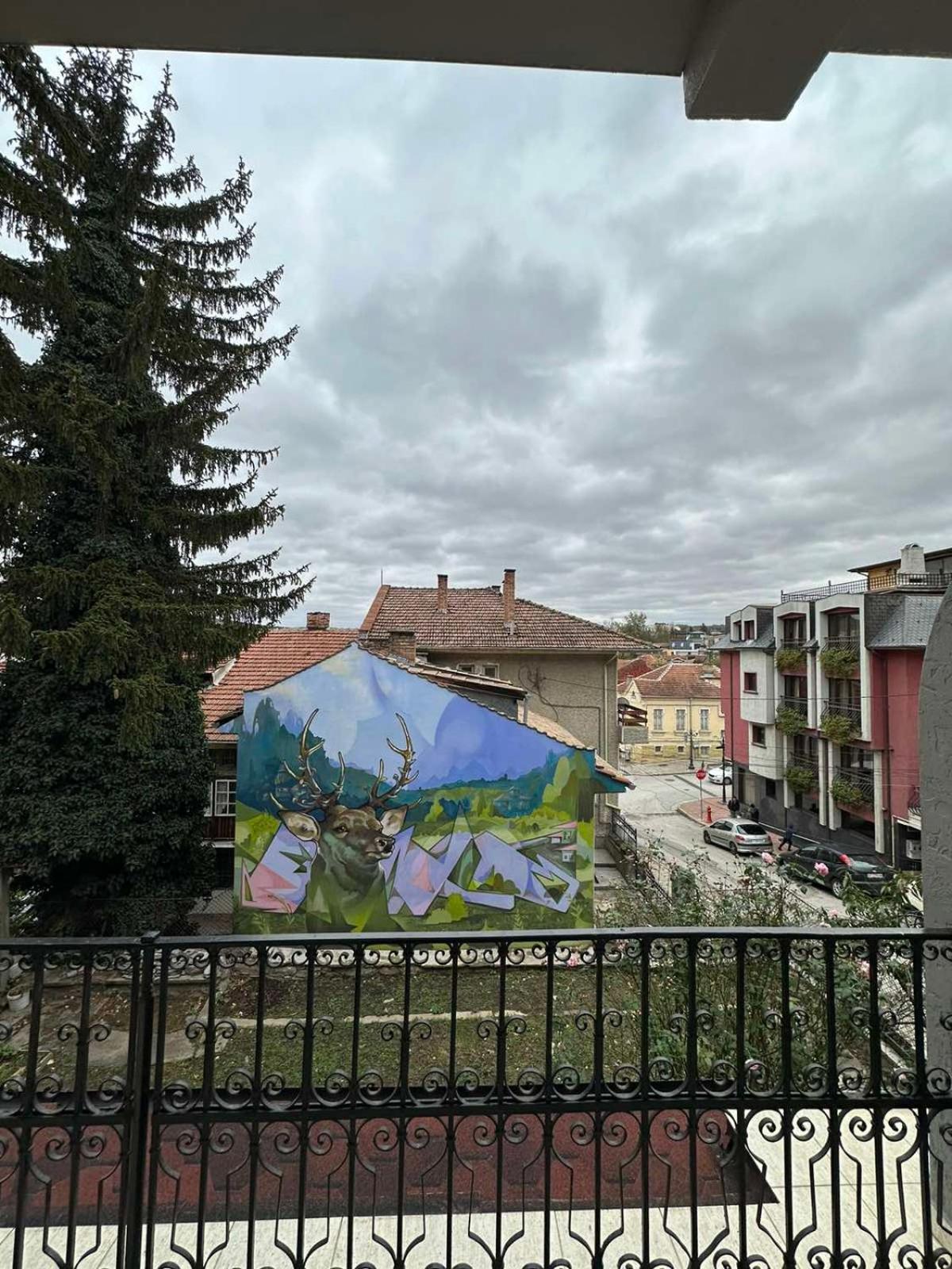 Guesthouse Petra Veliko Tărnovo Esterno foto